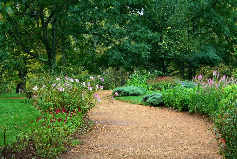 Garden path lined with wildflowers.